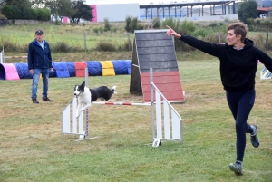 Education canine : l&#039;agility, une discipline très populaire chez les maîtres