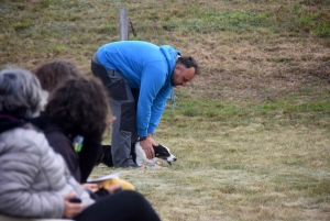 Education canine : l&#039;agility, une discipline très populaire chez les maîtres