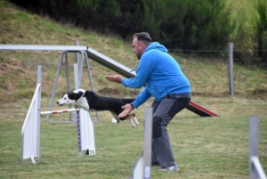 Education canine : l&#039;agility, une discipline très populaire chez les maîtres