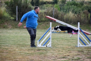 Education canine : l&#039;agility, une discipline très populaire chez les maîtres