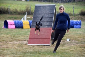 Education canine : l&#039;agility, une discipline très populaire chez les maîtres