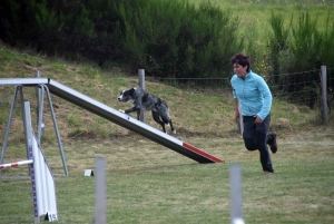 Education canine : l&#039;agility, une discipline très populaire chez les maîtres