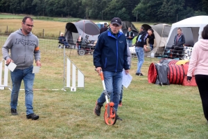 Education canine : l&#039;agility, une discipline très populaire chez les maîtres