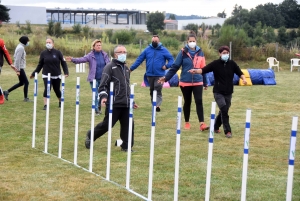 Education canine : l&#039;agility, une discipline très populaire chez les maîtres