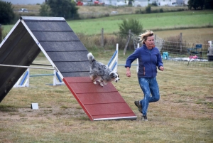 Education canine : l&#039;agility, une discipline très populaire chez les maîtres