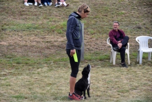 Education canine : l&#039;agility, une discipline très populaire chez les maîtres