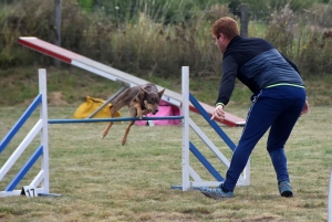 Education canine : l&#039;agility, une discipline très populaire chez les maîtres