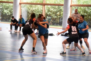 Handball : l&#039;entente Sucs et Velay à la recherche de repères