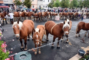 Yssingeaux : le concours de chevaux lourds a conquis le centre-ville