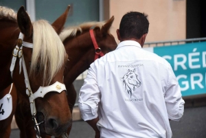 Yssingeaux : le concours de chevaux lourds a conquis le centre-ville