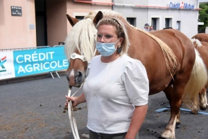 Yssingeaux : le concours de chevaux lourds a conquis le centre-ville