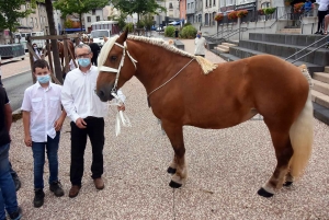 Yssingeaux : le concours de chevaux lourds a conquis le centre-ville