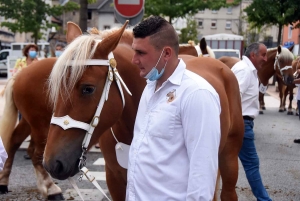 Yssingeaux : le concours de chevaux lourds a conquis le centre-ville