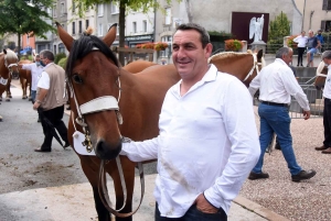 Yssingeaux : le concours de chevaux lourds a conquis le centre-ville