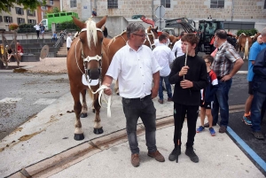 Yssingeaux : le concours de chevaux lourds a conquis le centre-ville