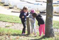 Les écoliers de Tence, &quot;Verne&quot; et Le Pertuis entre sport et histoire au barrage de Lavalette