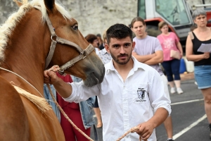 Yssingeaux : 51 juments au premier concours de l&#039;été de chevaux lourds