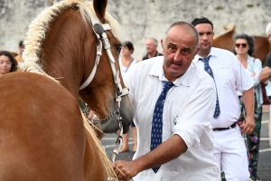 Yssingeaux : 51 juments au premier concours de l&#039;été de chevaux lourds