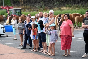 Yssingeaux : 51 juments au premier concours de l&#039;été de chevaux lourds