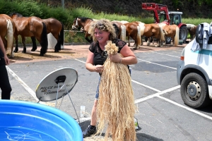 Yssingeaux : 51 juments au premier concours de l&#039;été de chevaux lourds