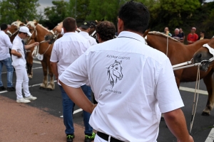 Yssingeaux : 51 juments au premier concours de l&#039;été de chevaux lourds