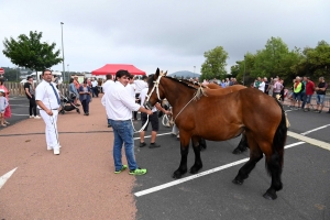 Yssingeaux : 51 juments au premier concours de l&#039;été de chevaux lourds