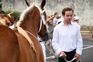 Yssingeaux : 51 juments au premier concours de l&#039;été de chevaux lourds