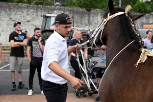 Yssingeaux : 51 juments au premier concours de l&#039;été de chevaux lourds