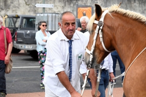 Yssingeaux : 51 juments au premier concours de l&#039;été de chevaux lourds