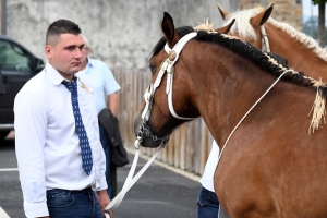 Yssingeaux : 51 juments au premier concours de l&#039;été de chevaux lourds