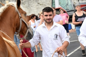 Yssingeaux : 51 juments au premier concours de l&#039;été de chevaux lourds