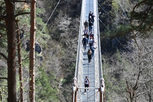 Une fréquentation sensationnelle sur la passerelle himalayenne des gorges du Lignon (vidéo)