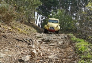 Beauzac : des 2CV 4x4 très rares vont arpenter les pials samedi