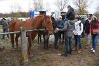 Bas-en-Basset : ils sont venus, ils sont tous à la Foire aux ânes