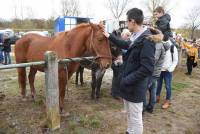 Bas-en-Basset : ils sont venus, ils sont tous à la Foire aux ânes