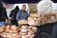 Bas-en-Basset : ils sont venus, ils sont tous à la Foire aux ânes