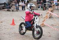 Bas-en-Basset : ils sont venus, ils sont tous à la Foire aux ânes