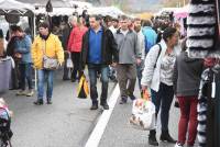 Bas-en-Basset : ils sont venus, ils sont tous à la Foire aux ânes