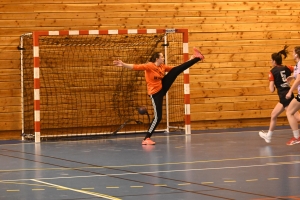 Hand, N3 : Sucs et Velay cède contre le HBC Lyon