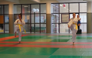 Taekwondo : le club du Puy a rempli ses objectifs