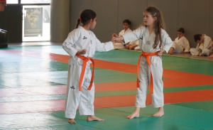 Taekwondo : le club du Puy a rempli ses objectifs