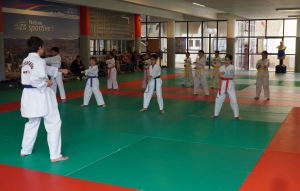 Taekwondo : le club du Puy a rempli ses objectifs