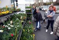 Retournac : la Foire des pâquerettes fait le plein