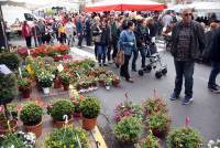 Retournac : la Foire des pâquerettes fait le plein