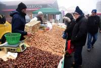 Saint-Bonnet-le-Froid, c&#039;est un coin à champignons