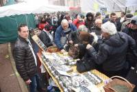 Saint-Bonnet-le-Froid, c&#039;est un coin à champignons