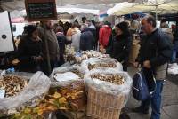 Saint-Bonnet-le-Froid, c&#039;est un coin à champignons