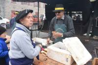 Saint-Bonnet-le-Froid, c&#039;est un coin à champignons