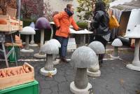 Saint-Bonnet-le-Froid, c&#039;est un coin à champignons