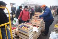 Saint-Bonnet-le-Froid, c&#039;est un coin à champignons